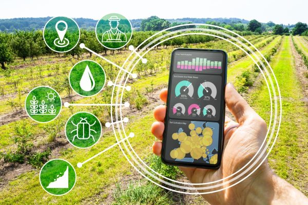 Internet of Things (IoT), Transformasi Pertanian Cerdas di Indonesia